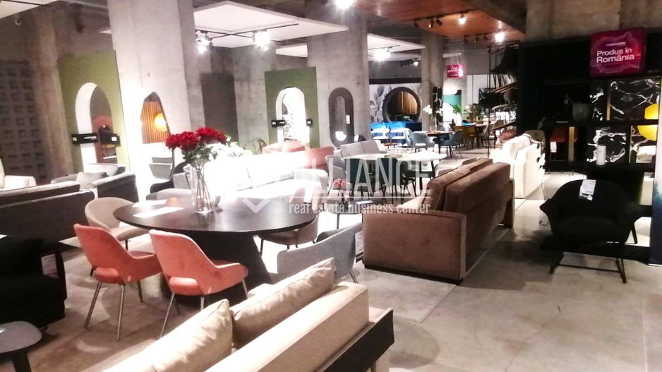 Spatiu comercial de inchiriat- (cod10)- EUROMATERNA - Poză 10