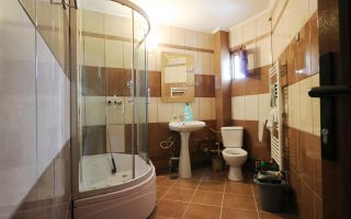 APARTAMENT 2 CAMERE DECOMANDAT PODU DE FIER UMF - Poză 14