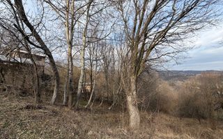 Teren *3895mp* - P+2 / Studiu Geo // Breaza - Prahova - Poză 7