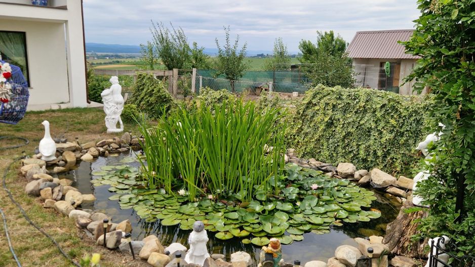 SE VINDE | Casa generoasă în Camirzani | Suceava - Poză 3