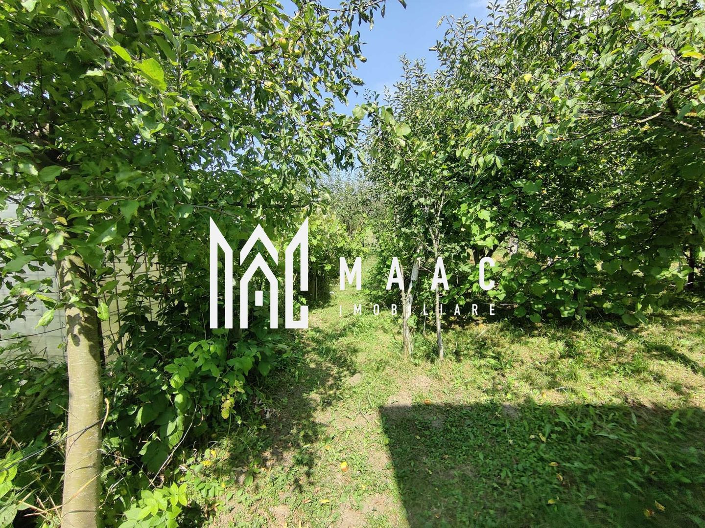 Casa 3 Camere | Teren 2500 mp | Rusi - Poză 6