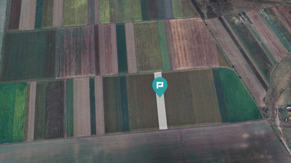 Teren extravilan de 14.500 mp în Caporal Alexa - Poză 1