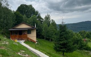 CASA 3 CAMERE, TEREN 3100 MP, ALBESTI DE MUSCEL, ARGES - Poză 6