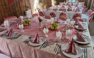 VILA - PENSIUNE CU RESTAURANT + SI TEREN 6406 MP, VALEA MARE PRAVAT, - Poză 20