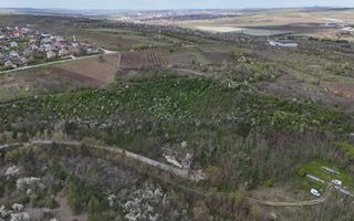 Teren de 37.5 ari în inima pădurii – Oportunitate unică de investiție lângă Crama Mileștii Mici! - Poză 4