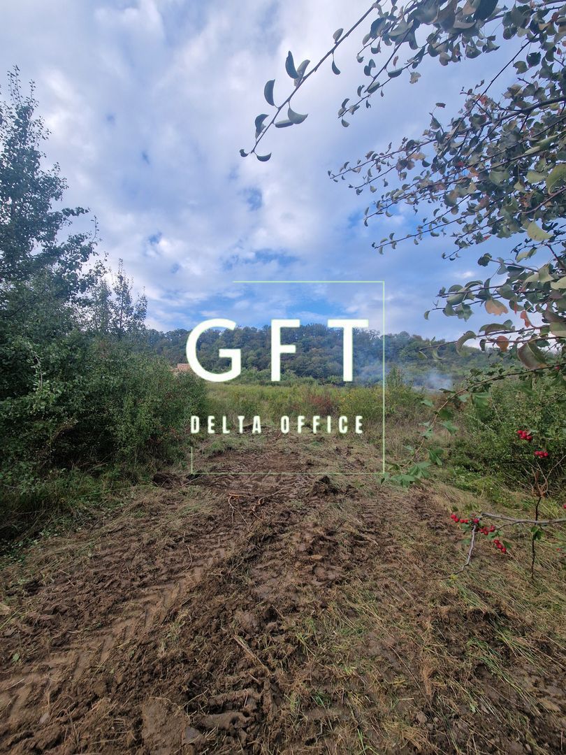 Teren de vanzare Jelna | 40 ari | Extravilan - Poză 3