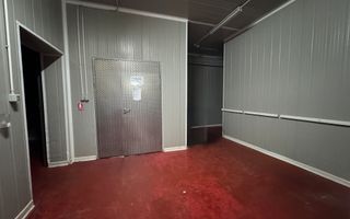 Hala pentru depozitare si distributie | Dumbravita - Poză 9