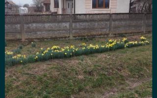 Casa Valea Vinului - Poză 1