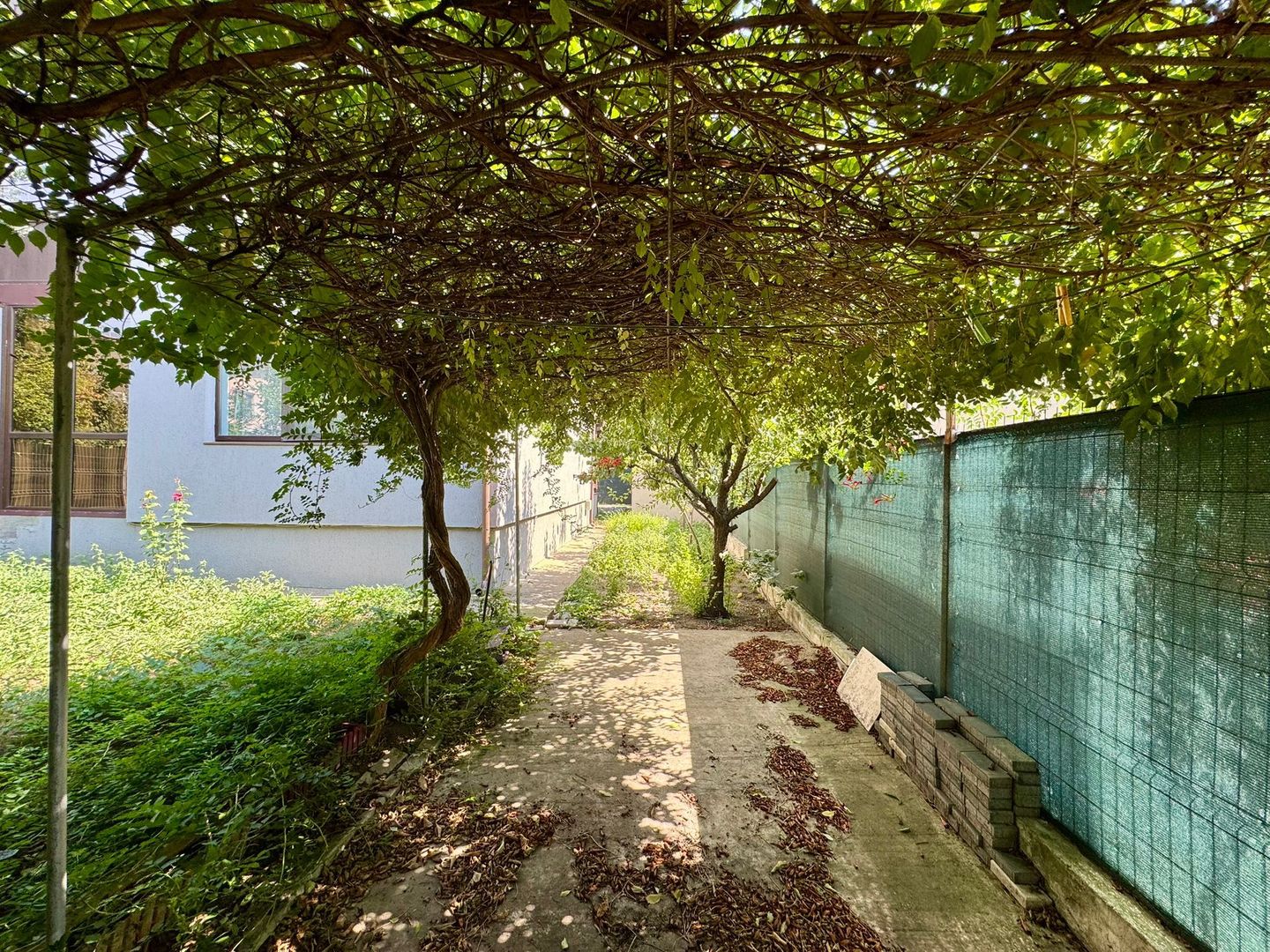 Casa 4 camere I Tunari I Premium - Poză 18