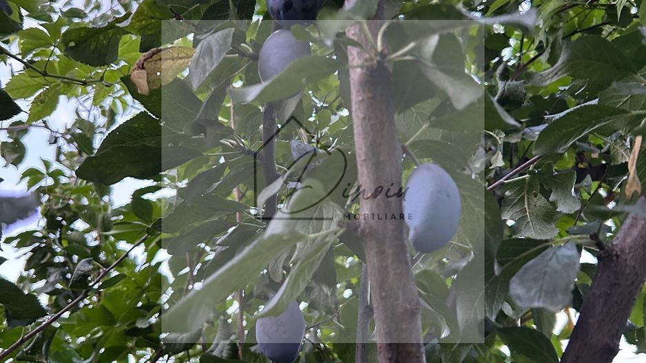 Vila de vanzare in Tunari I Gata de mutat I 4 camere I 5 parcari - Poză 50