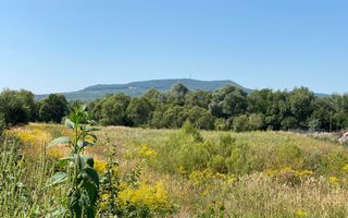 Teren 4100 mp - oportunitate investitie - Bistrita Zona Ranahum - Poză 5