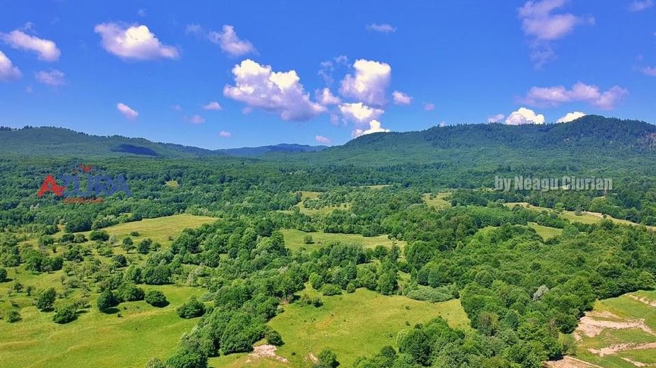 AZURA Imobiliare Pitesti - Casă de vacanță, Nucșoara! - Poză 23