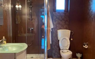 Vila Pantelimon - Padure - Poză 12