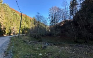 Teren 2.882 mp – oportunitate investitie - Cheile Dâmbovicioarei - Poză 15