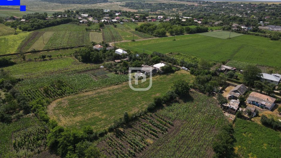 Teren - Ionășeni | BOTOȘANI | 3.285mp - Poză 6