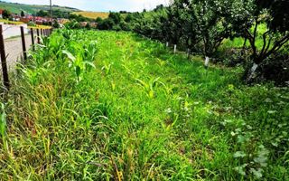 Teren intravilan construcții in Șura Mare. - Poză 1