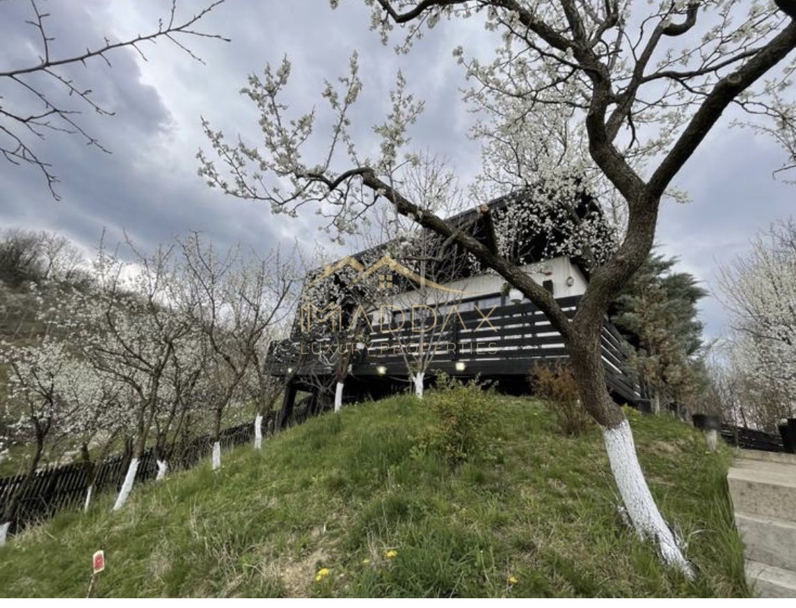 Casa de vacanta**Panorama spectaculoasa//Provita de Jos_Prahova - Poză 3