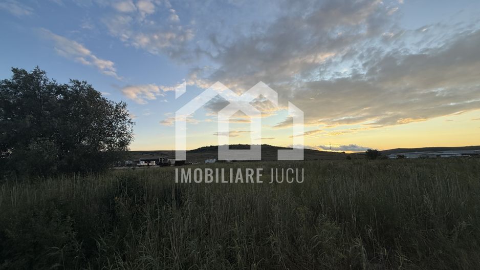 Teren – 7.194 mp | Răscruci – Zona Tetarom - Poză 3