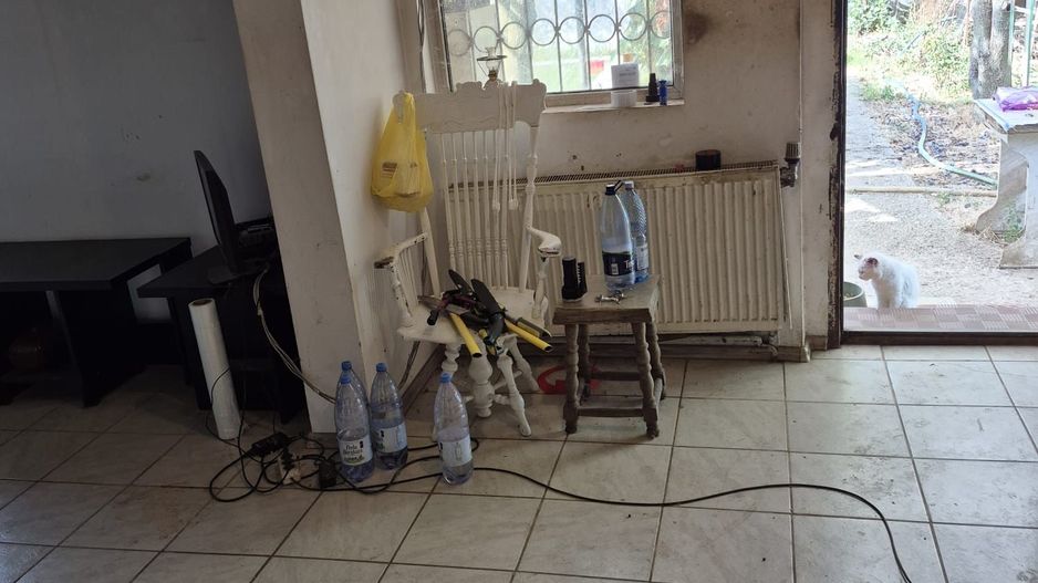 Casa + teren 1.065 mp | Domnesti – Zona Toamnei | Deschidere 20 ml - Poză 6