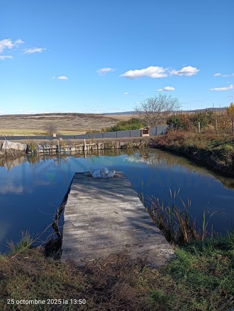 2 iazuri de vanzare - Poză 3