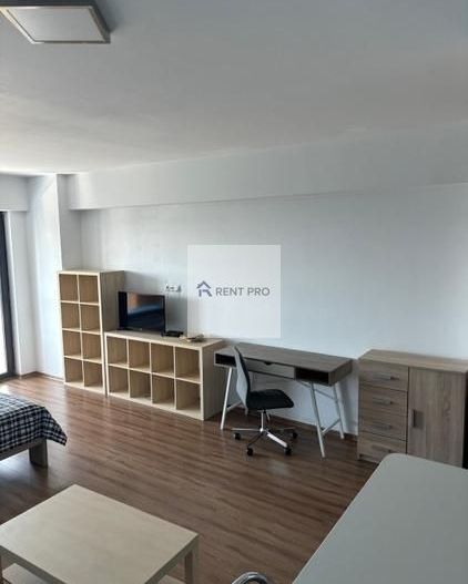 Studio Vedere Lacul Morii 43 Mp Lake House Virtuții - Poză 13