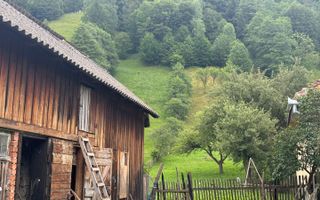 Casa cu teren de 5879 mp cu padure, Moeciu de Jos - Poză 5