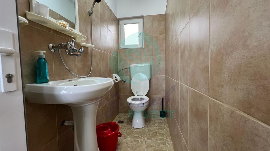 Silistea Snagovului-Casa de VACANTA  cu piscina - Poză 14