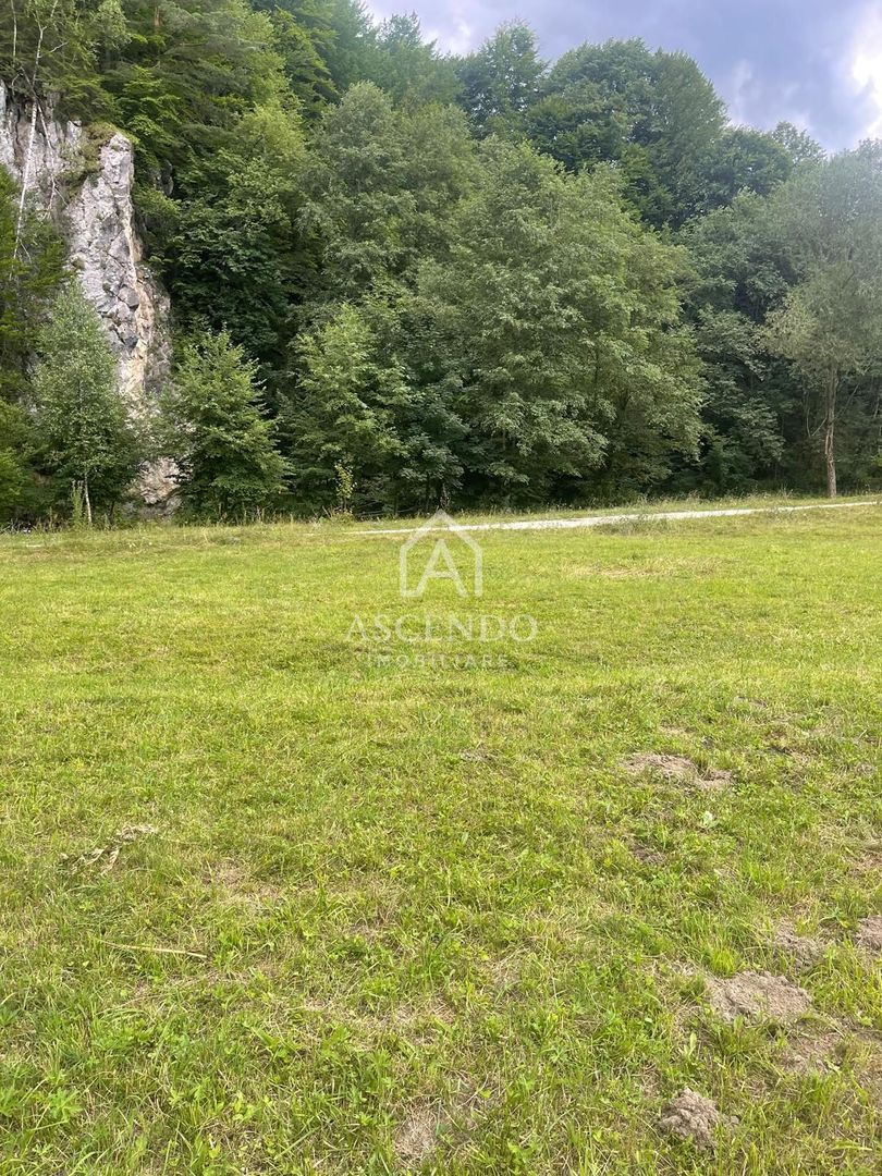 Teren pentru investiție turistică în Dâmbovicioara – Baranga | 4.500 mp | Front ~102 ml - Poză 8