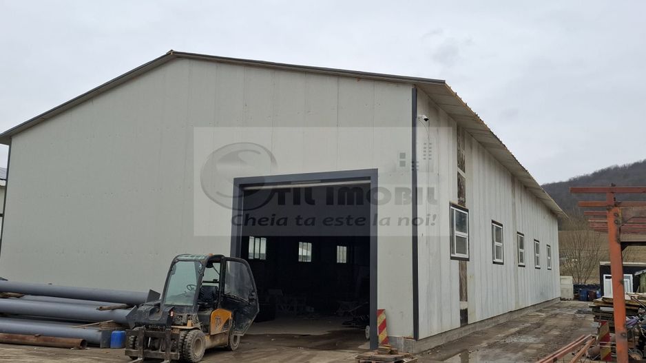 Hala de inchiriere 596 mp str. Trei Fantani - Poză 4