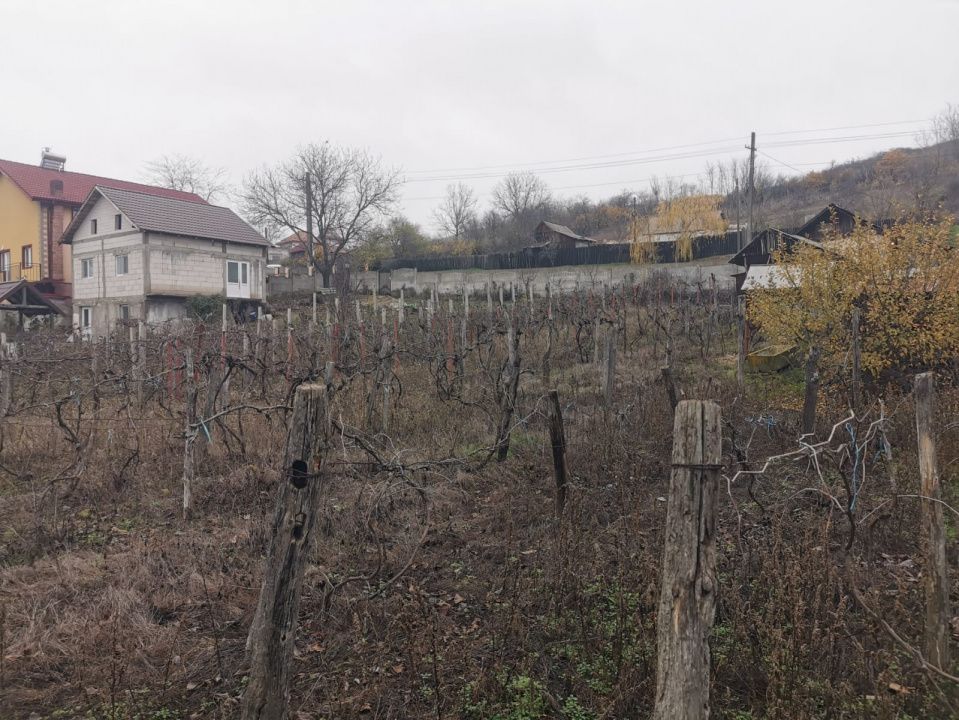 De vanzare casa in Argetoaia cu teren 7.000 mp - Poză 6