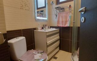 Apartament cu 3 camere pentru vanzare | curte 24 mp | Damaroaia - Poză 9