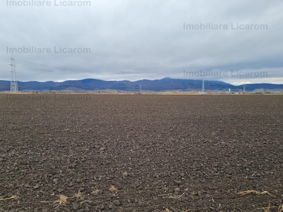 Teren Agricol 2,9 HA,intre Cristian si Vulcan/teren SPORT - Poză 3