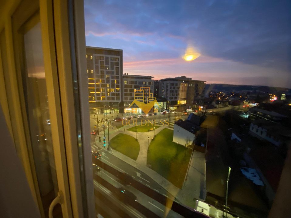 1 camera, Semicentral, Platinia, USAMV, UMF,  Calea Motilor - Poză 7