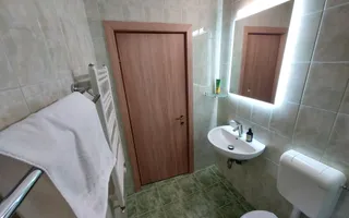 Vilă în Făget | Sediu companie | 2.412 mp teren 8 parcări - Poză 29