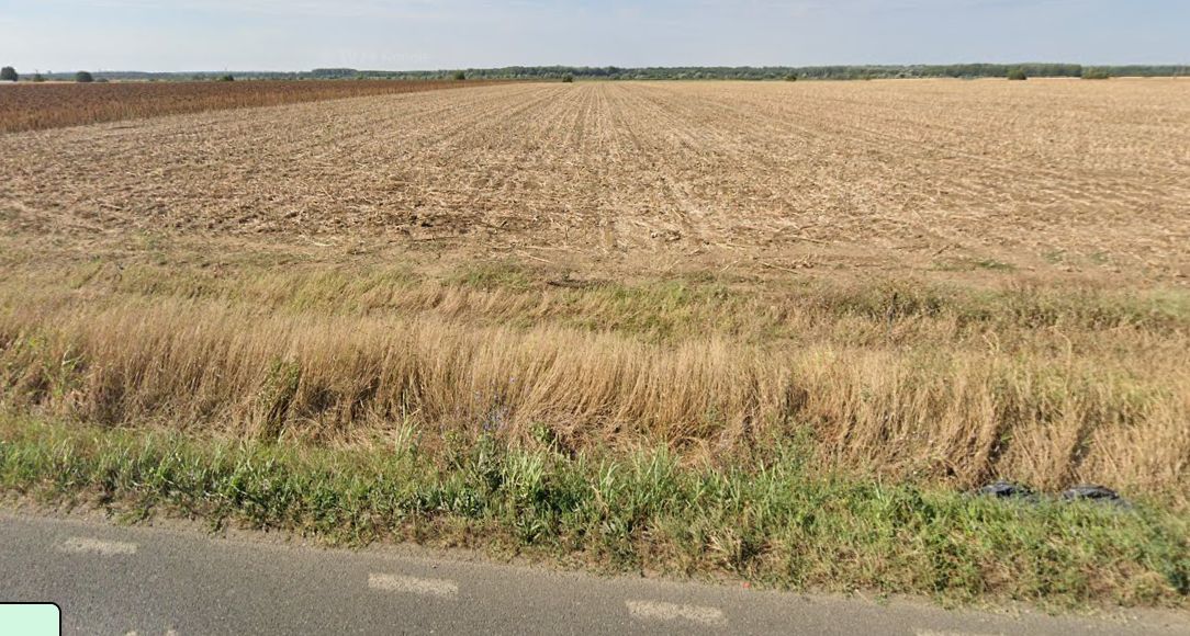 Teren extravilan localitatea Nuci, Ilfov - Poză 2