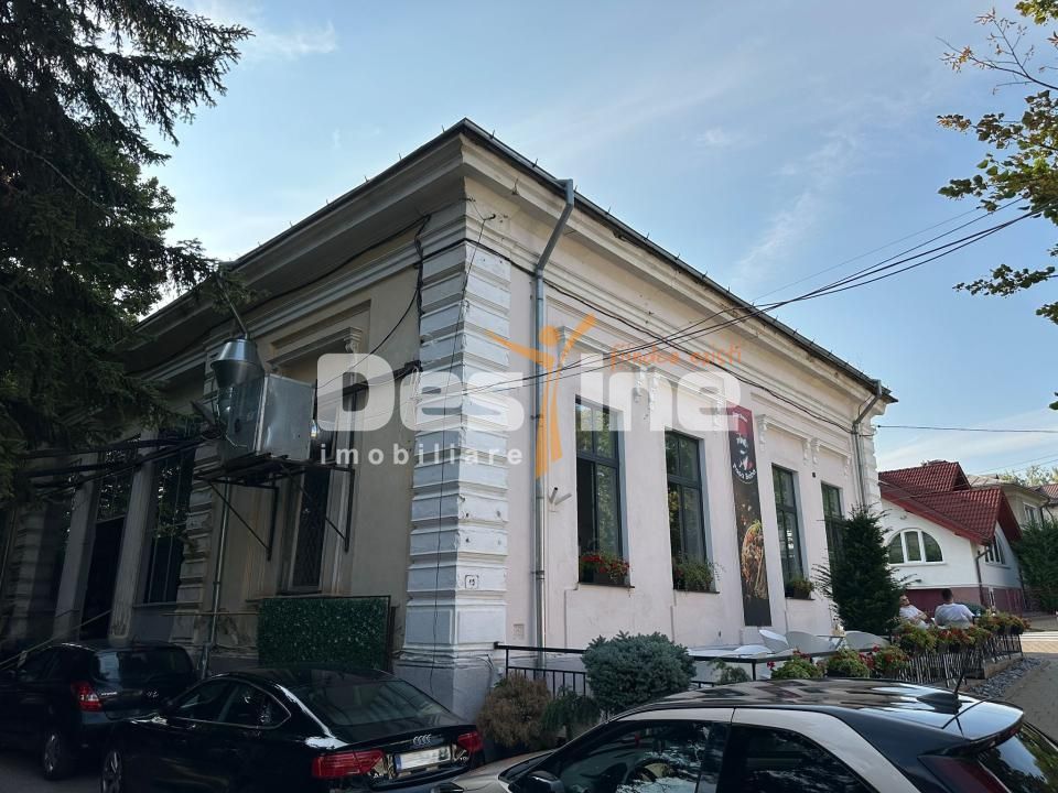 COPOU - Imobil Business/ activ Imobiliar - Poză 3