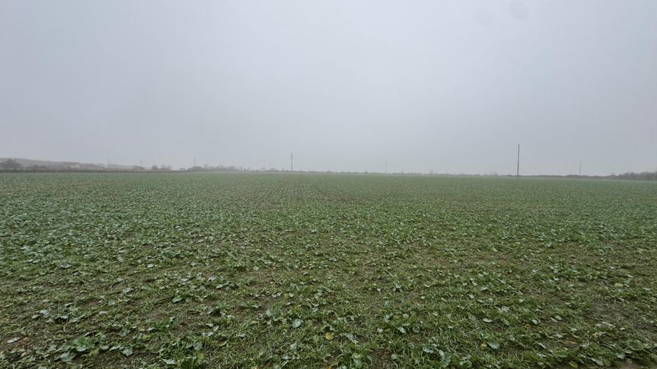 COMISION 0 | Teren intravilan | 7.473 mp | Zona Freidorf - Poză 2