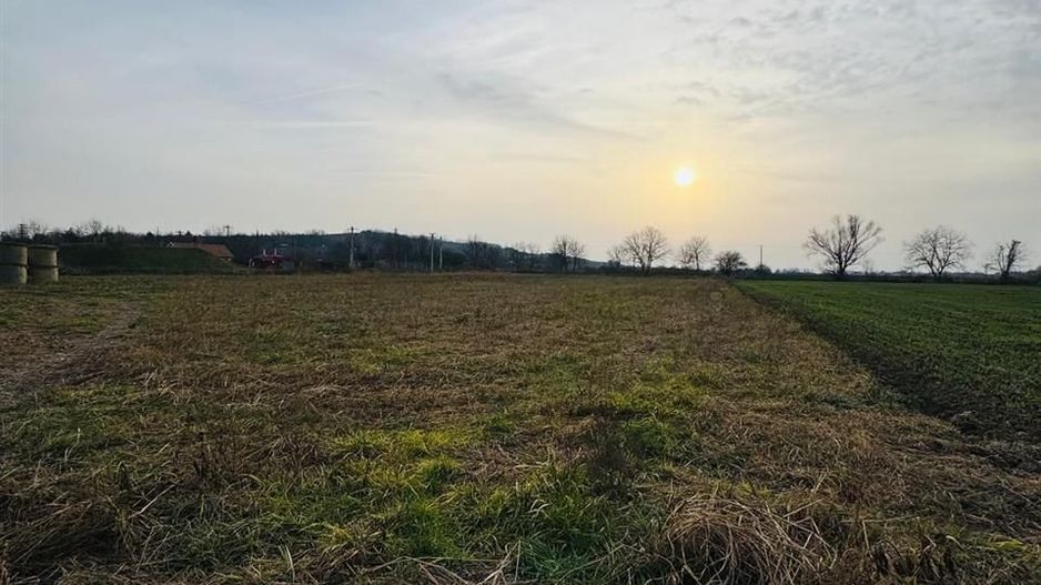 Teren intravilan 7620 mp la intrare in Diosig - Poză 2