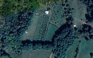 Teren extravilan 61.000 mp | Veseud, Sibiu | plantație aluni, trufe - Poză 3
