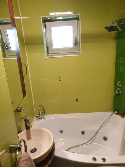 Apartament 2 camere – vedere panoramică Parc & Lac Tei - Poză 12