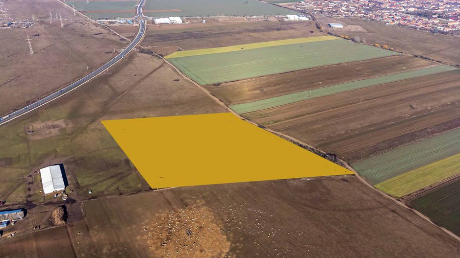 Teren agricol extravilan cu potențial de dezvoltare – 41.600 mp – Arad - Poză 1