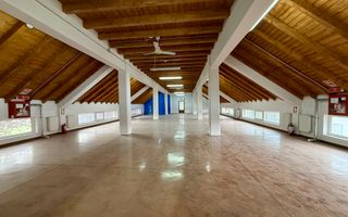 Spatii comerciale pentru activitati diverse - Dumbravita, central - Poză 1