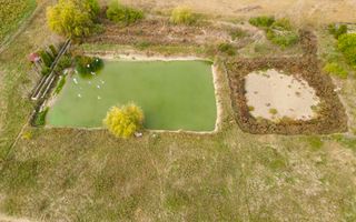 Teren intravilan cu iazuri și casă - Chișineu-Criș - Poză 33