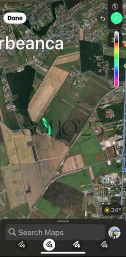 Coreanca  8000 mp intravilan - Poză 3