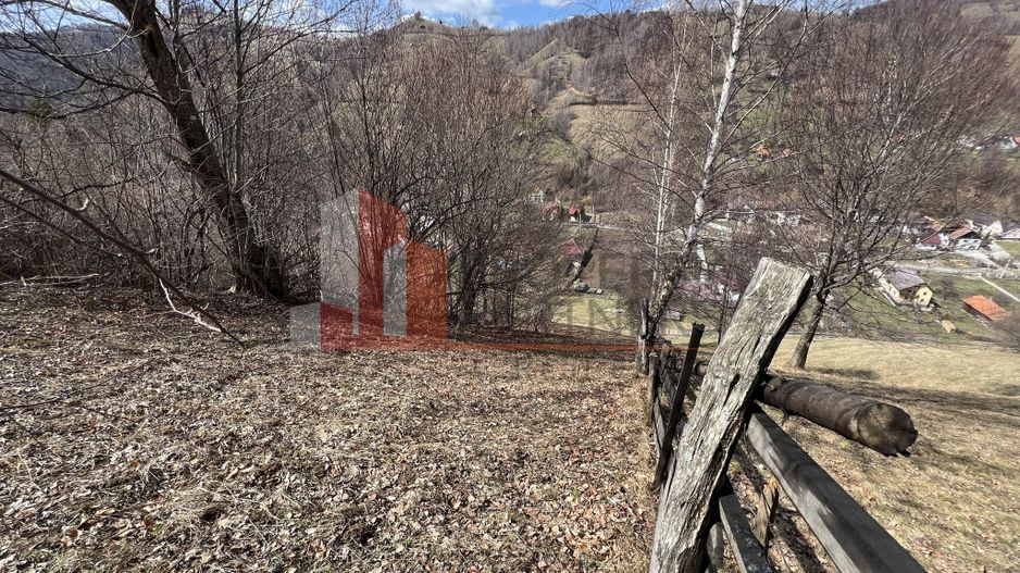 Teren Intravilan 9.194 mp, zona Bran - Simon - Poză 9