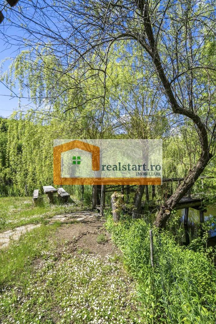 Oportunitate, Restaurant cu MiniPensiune 800mp, 1,8ha teren, Via Transilvanica - Poză 45
