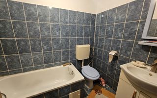 Vanzare garsoniera Prundu zona Vama - Poză 3