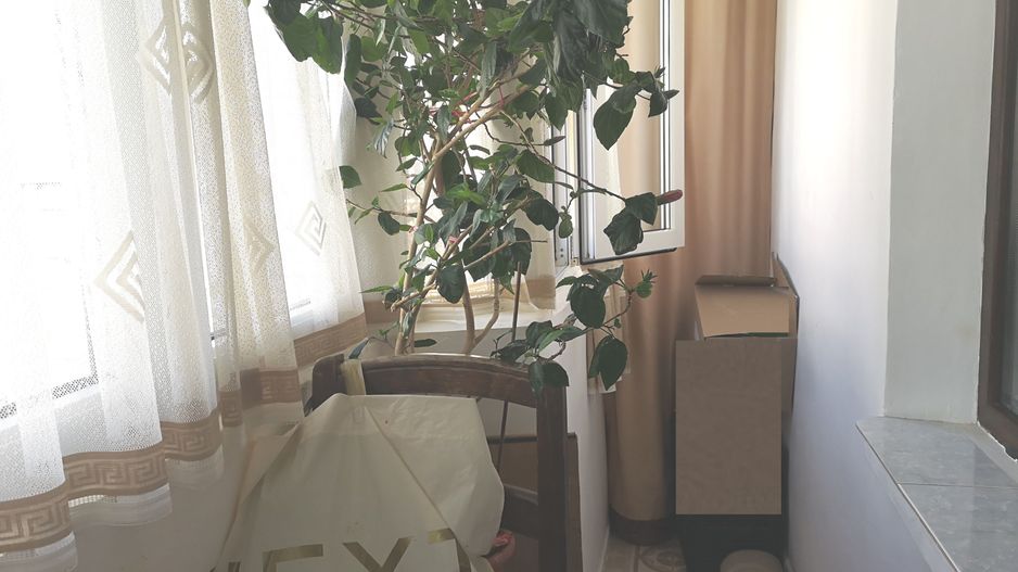 Apartament 3 camere renovat, etaj 5, bloc solid, zona Parc Sebastian - Poză 11