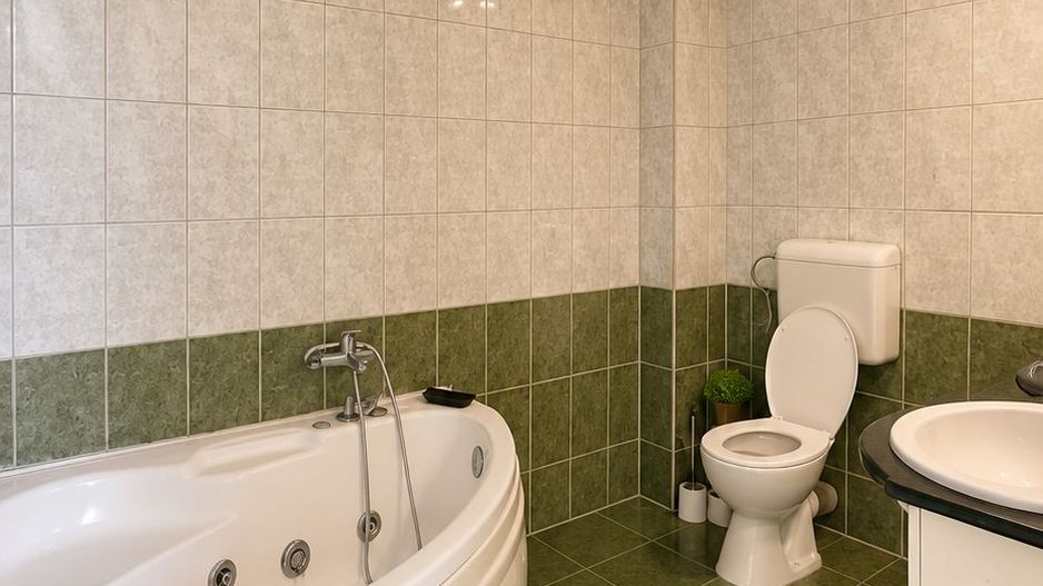 Comision 0% Apartament 2 camere Calea Buziașului Ciarda Rosie - Poză 7