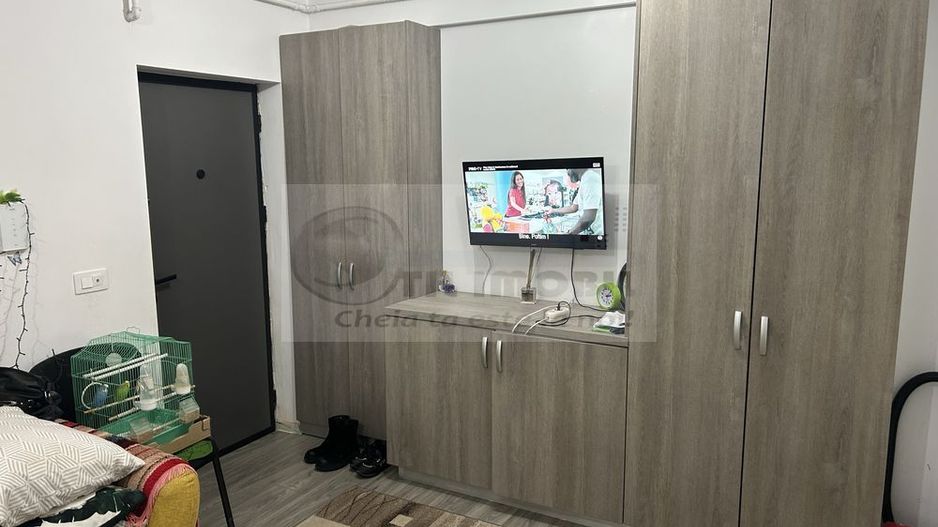 Apartament 1 cameră, Vișan - Poză 3